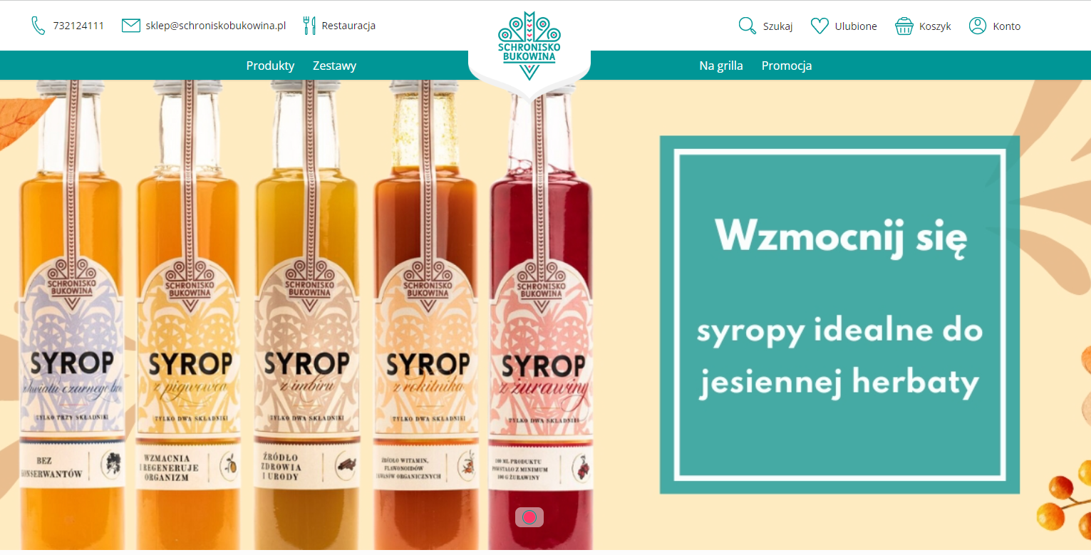 How Alpacode helped increase conversion rate by 127% at Schronisko Bukowina